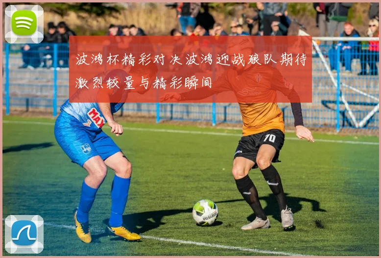 波鸿杯精彩对决波鸿迎战狼队期待激烈较量与精彩瞬间