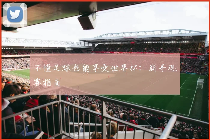 不懂足球也能享受世界杯：新手观赛指南